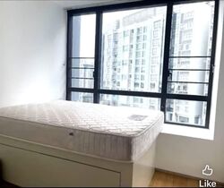 Skysuites@Anson (D2), Apartment #596396691